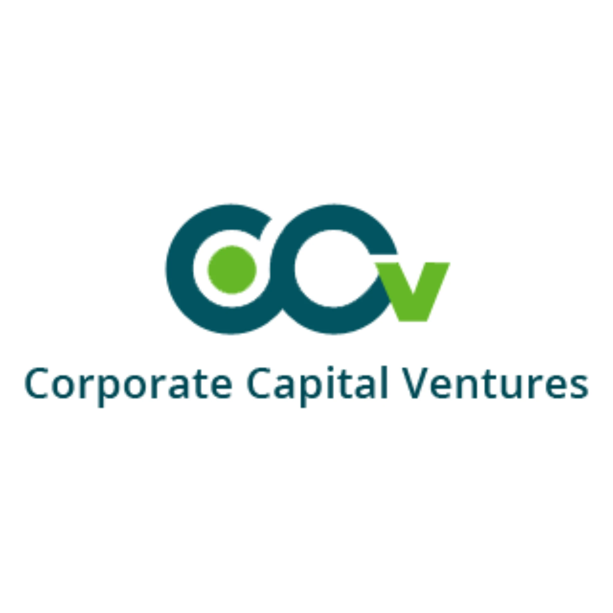 CORPORATE CAPITALVENTURES