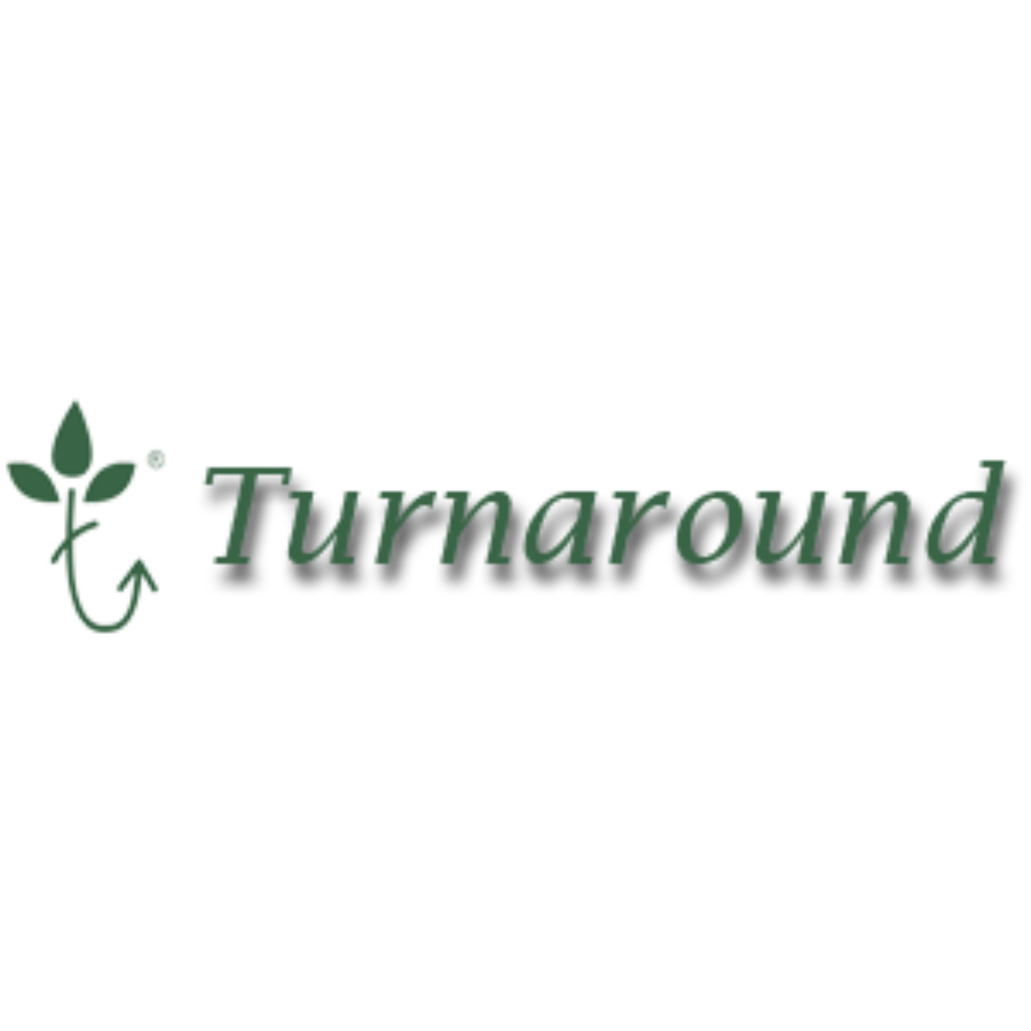 Turnaround Advisors