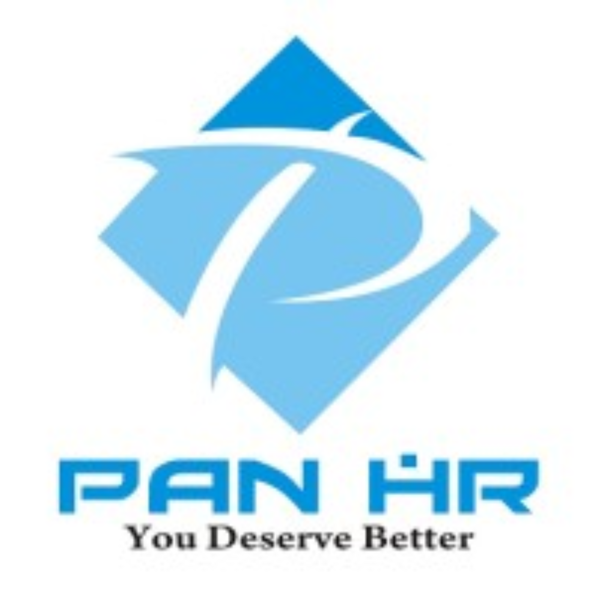 PAN HR Solution Limited IPO
