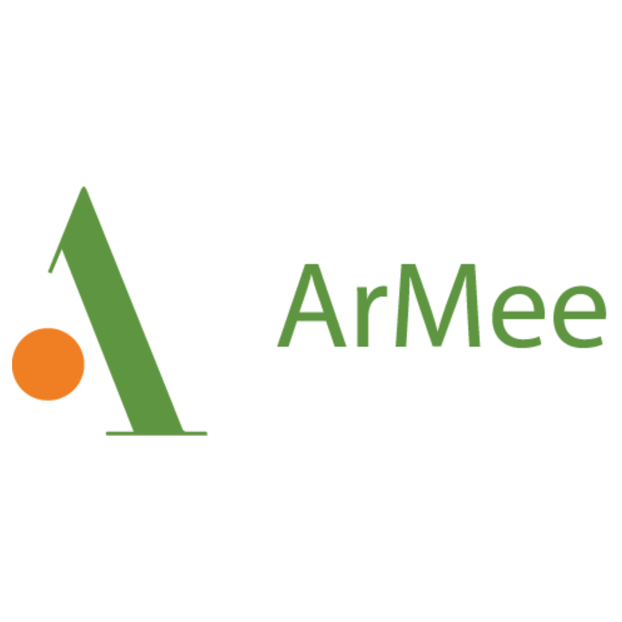 Armee Infotech Limited IPO