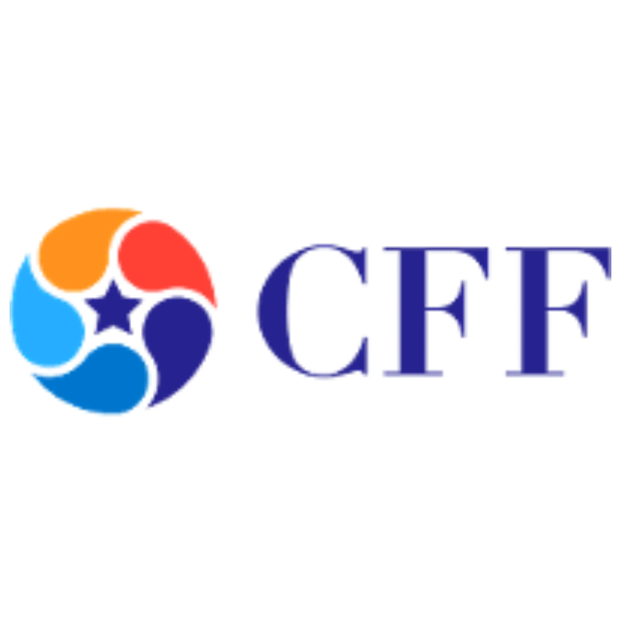 CFF Fluid Control Limited IPO