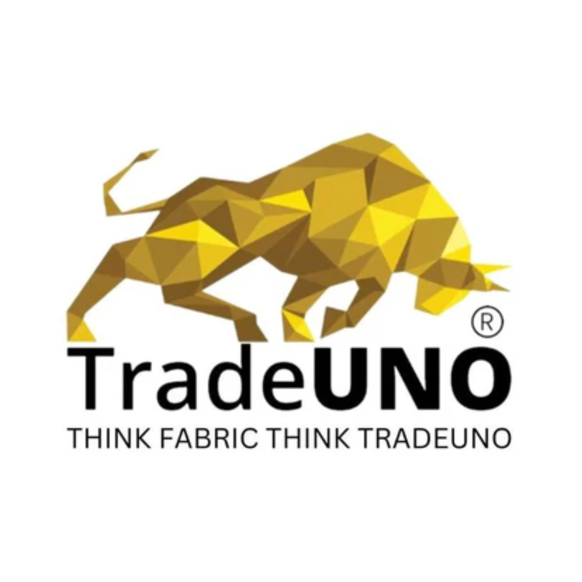 Game Changers Texfab Limited IPO