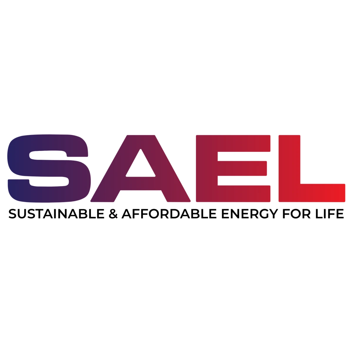 Sael Industries Limited IPO