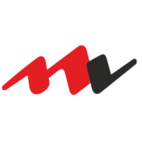 MV Electrosystems Limited IPO