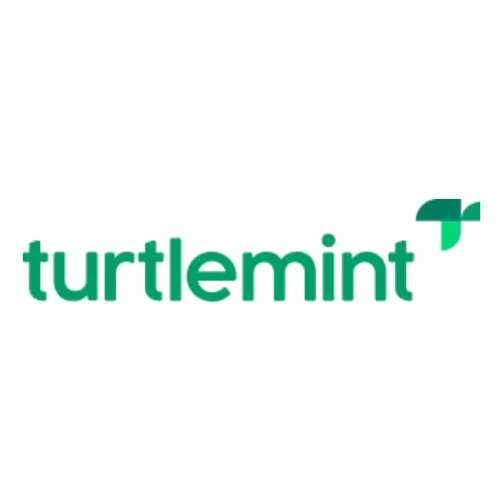 Turtlemint Fintech Solutions Limited IPO