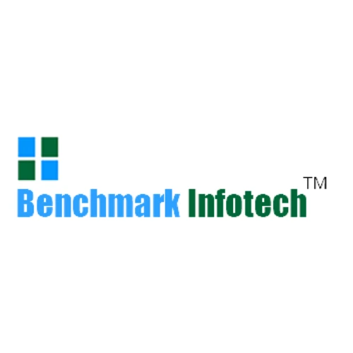 Bench Mark Infotech Services Limited IPO