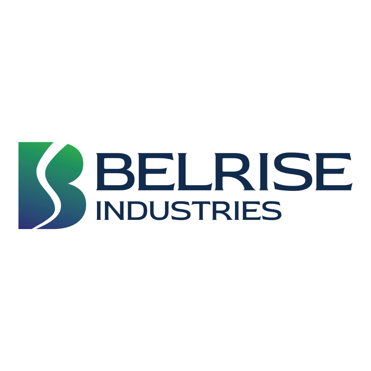Belrise Industries Limited IPO