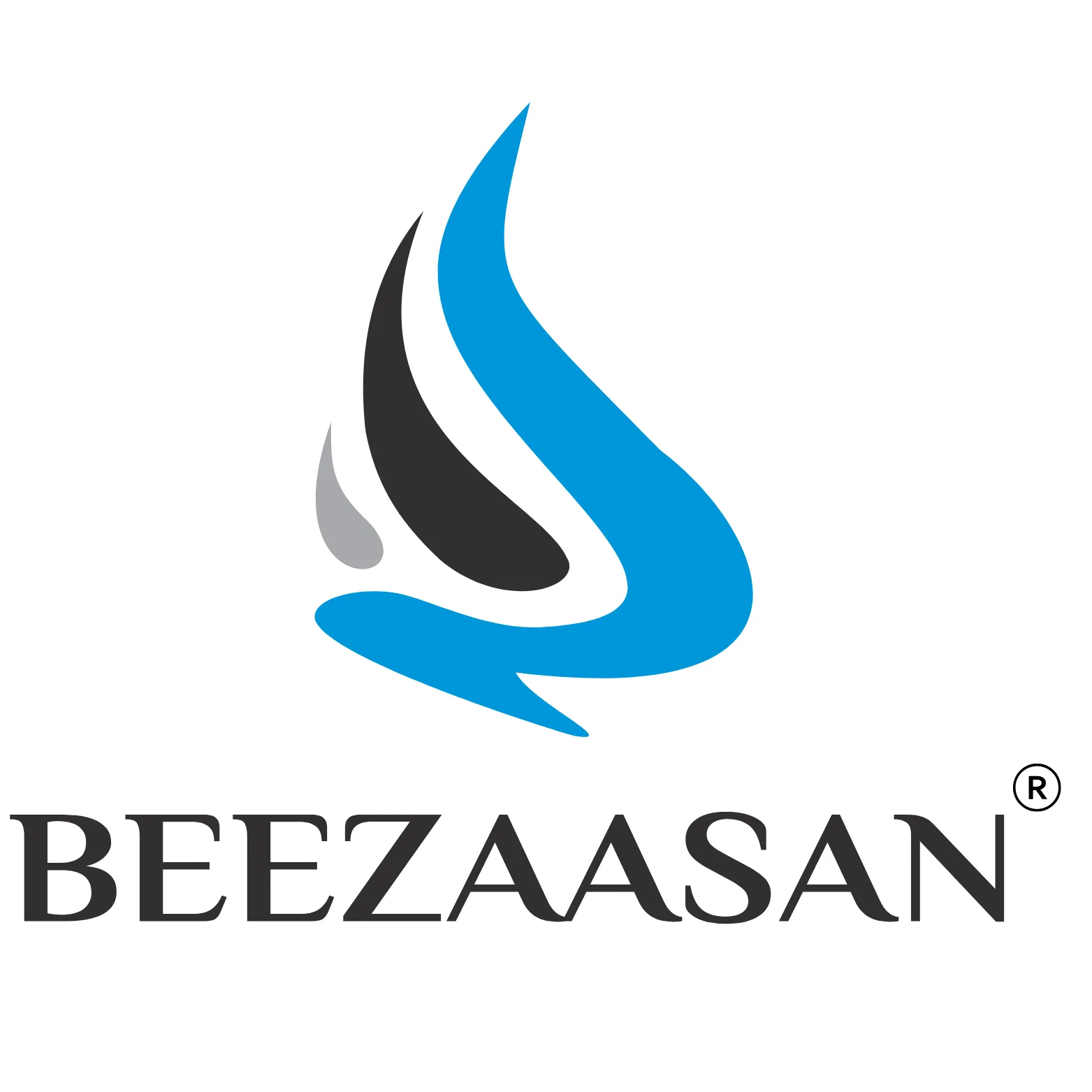 Beezaasan Explotech Limited