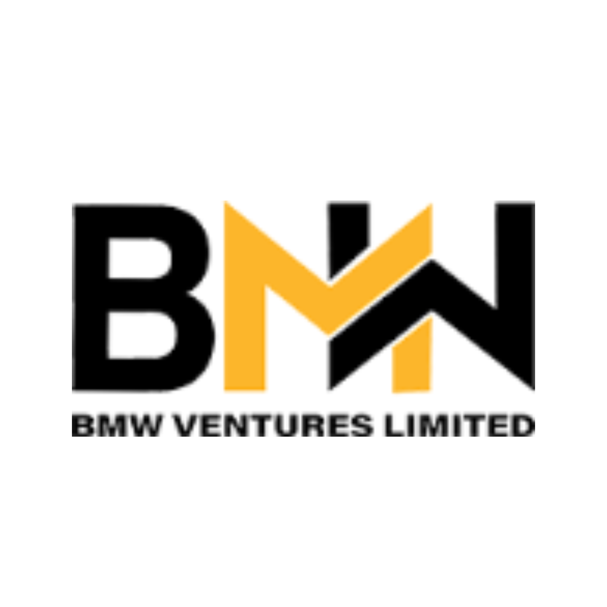 BMW Ventures Limited IPO