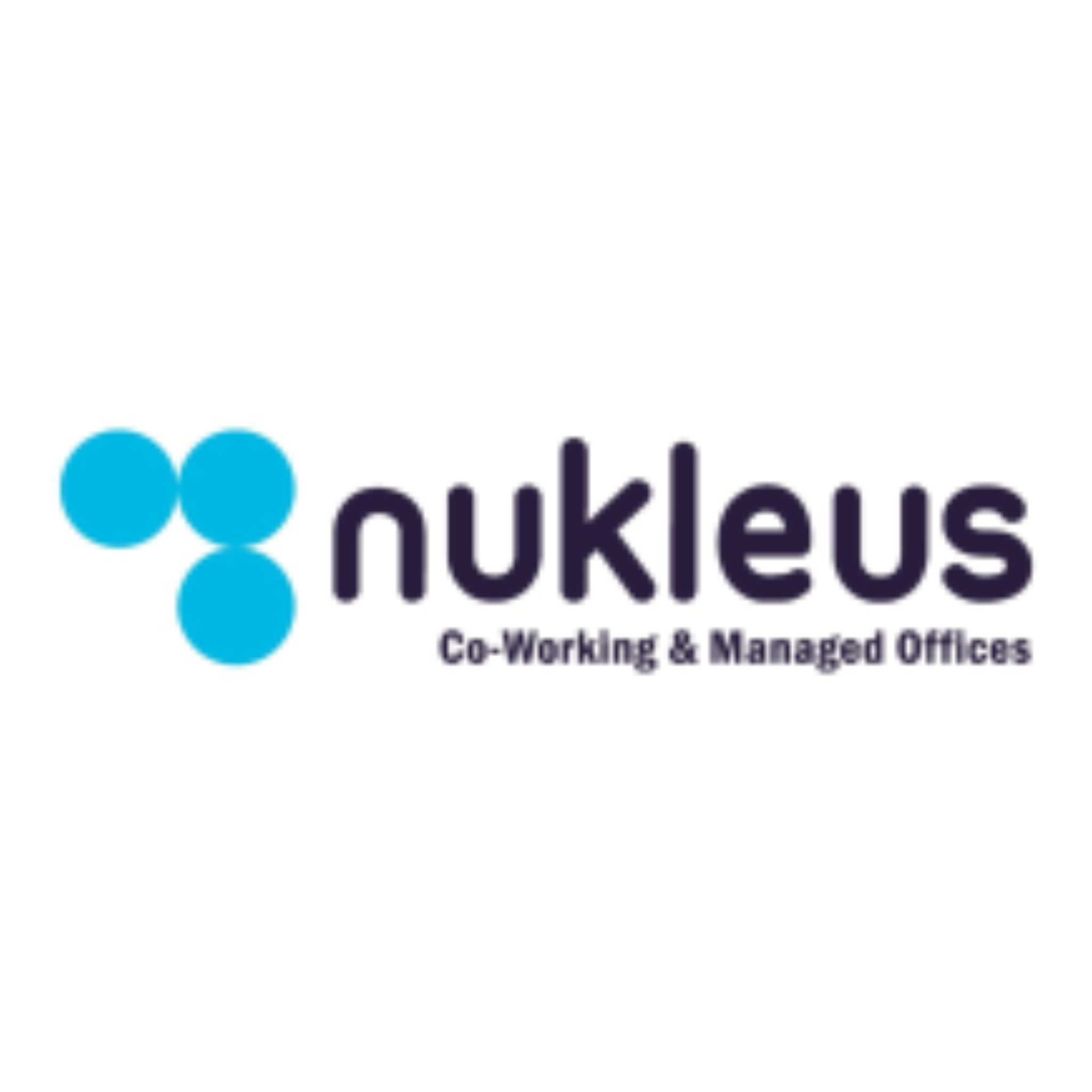 Nukleus Office Solutions Limited