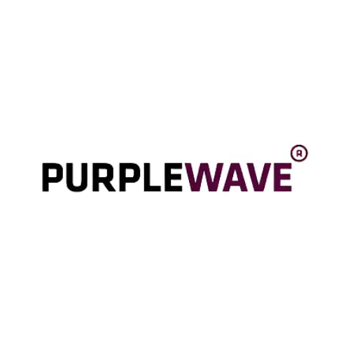 Purple Wave Infocom Limited IPO