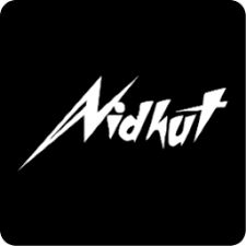 Bhadora Industries Limited IPO