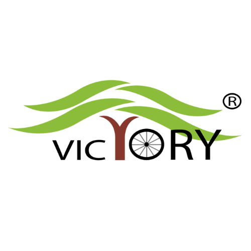Victory Electric Vehicles International Limited IPO