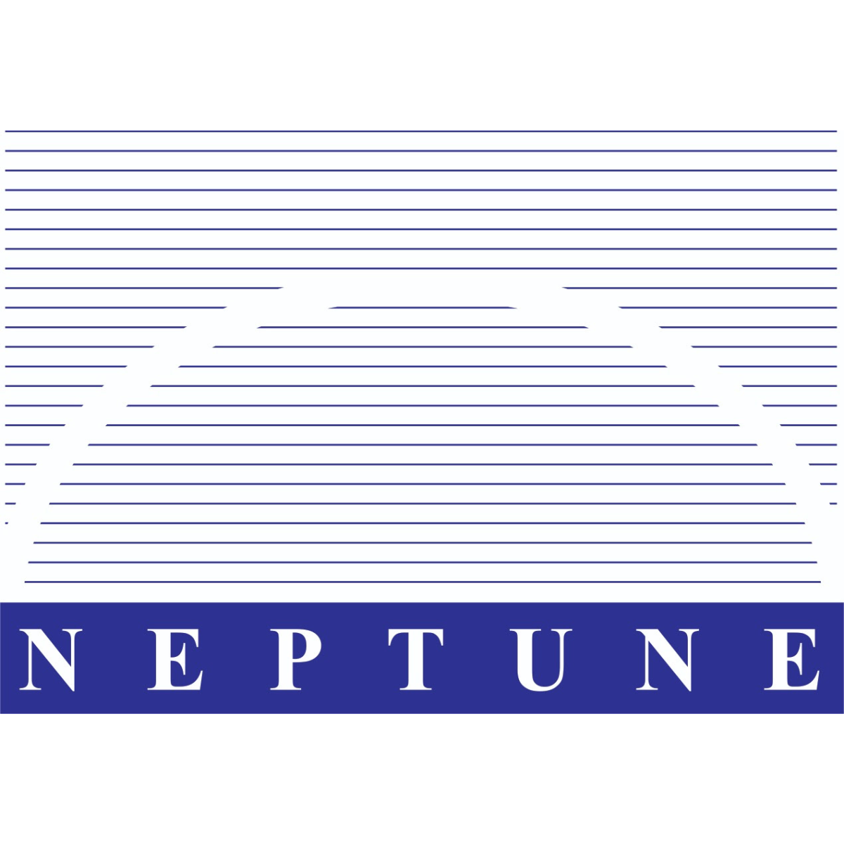 Neptune Petrochemicals Limited IPO