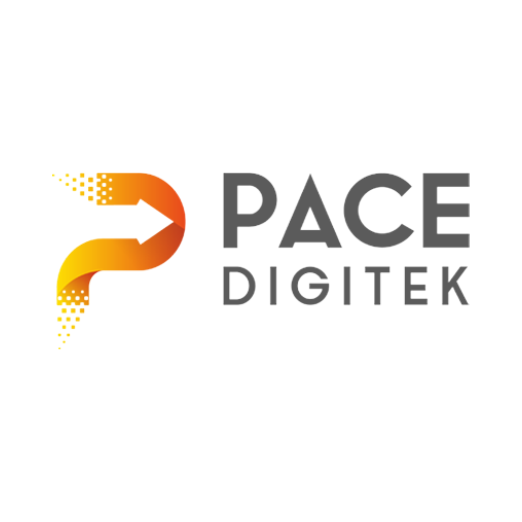 Pace Digitek Limited IPO