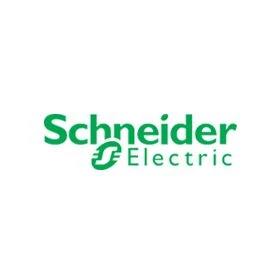 Schneider Electric Unlisted Shares